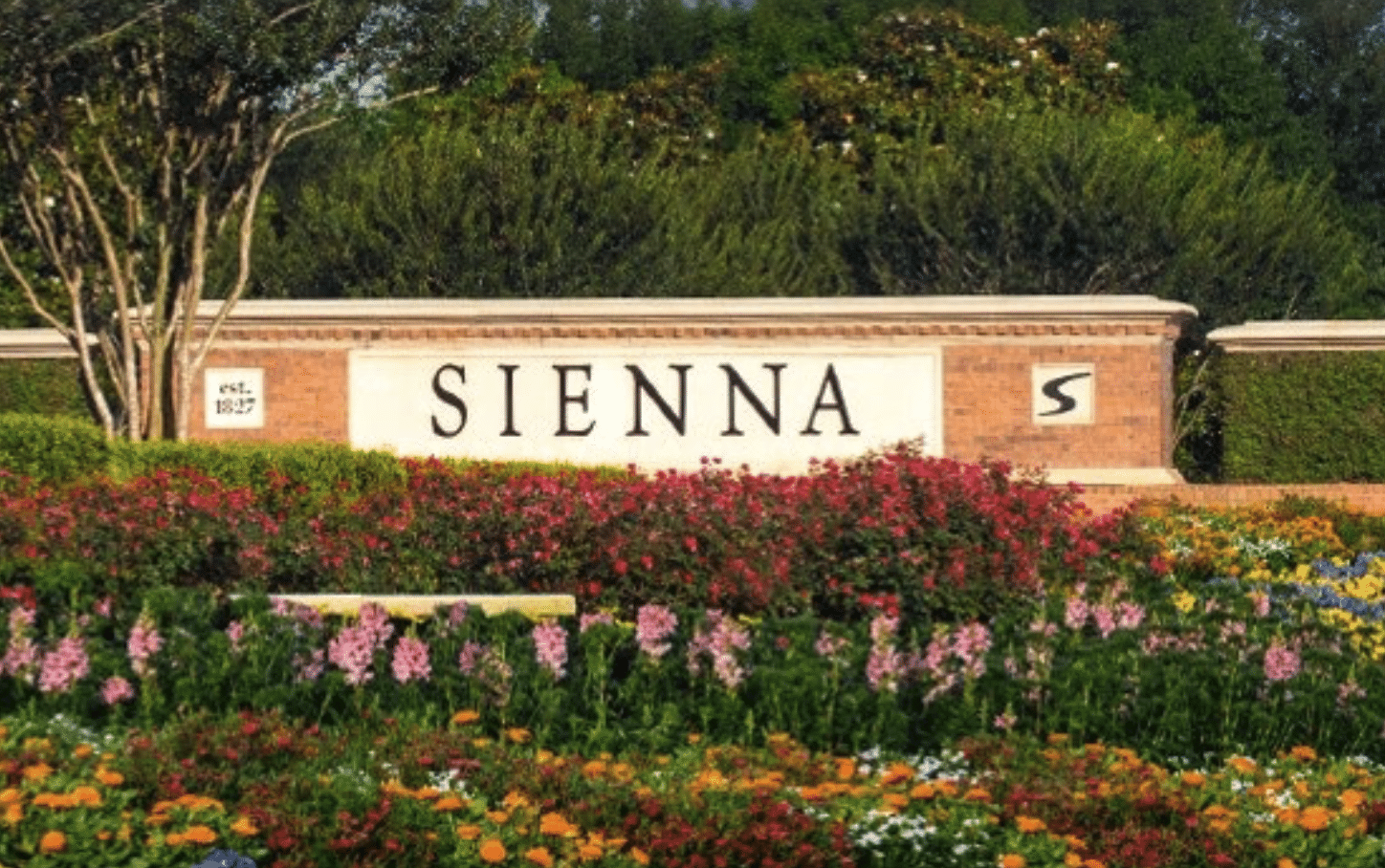 Texan Smile dental care near Sienna Texas